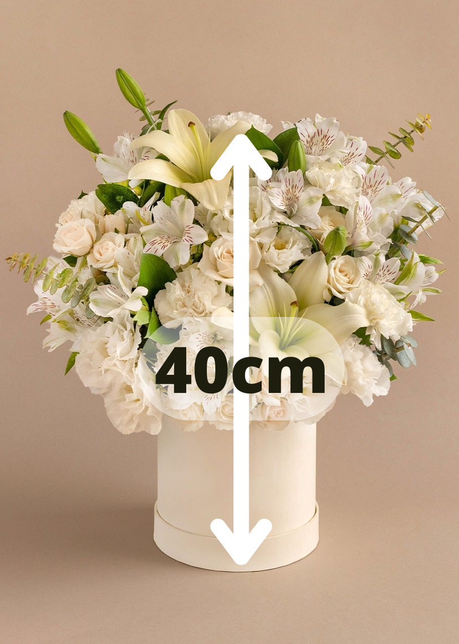 Caja con lilys y claveles blancos