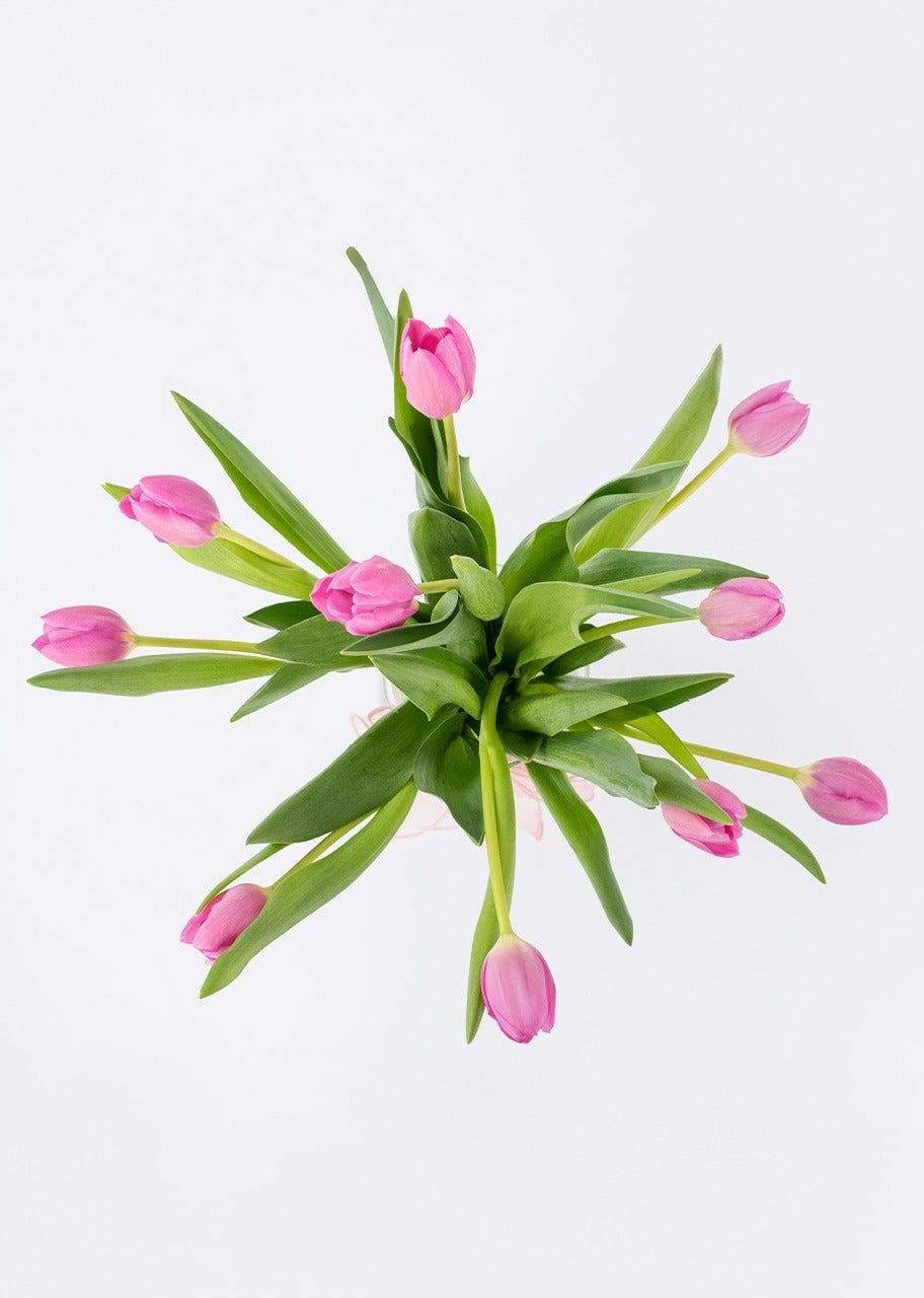 10 tulipanes fucsia en jarrón