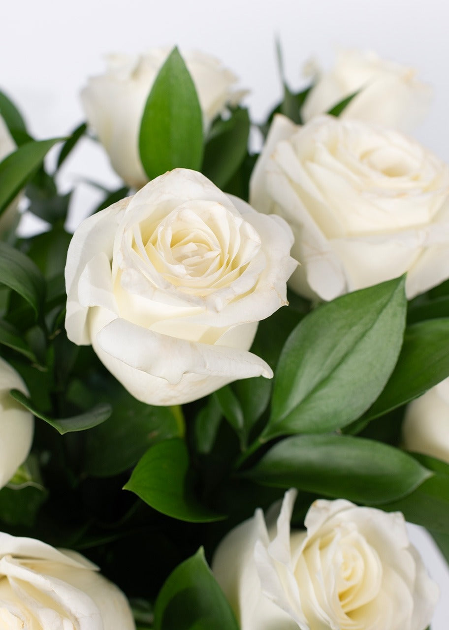 12 rosas blancas en jarrón