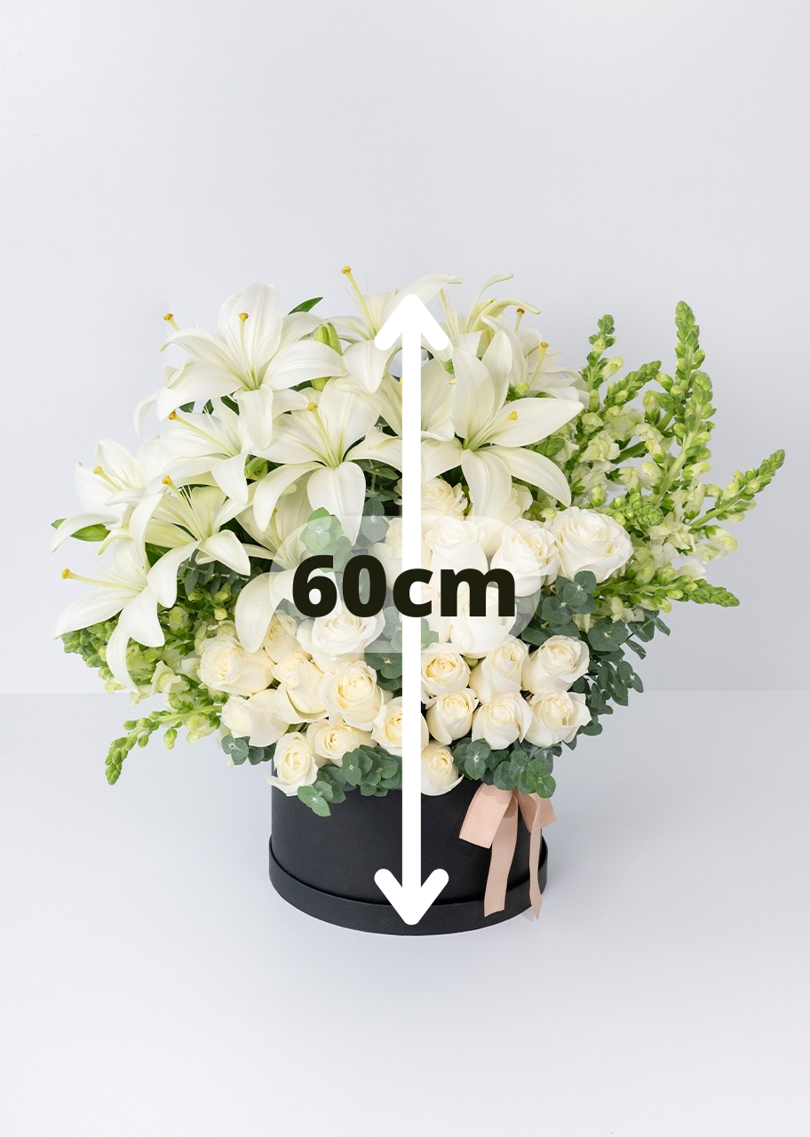 Caja con 24 rosas blancas y lilys