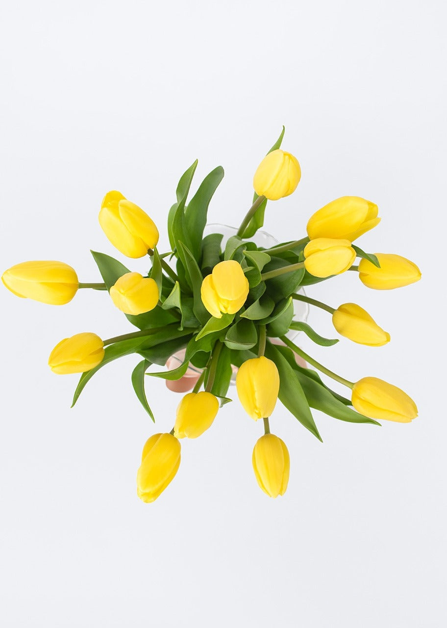 15 tulipanes amarillos en jarrón