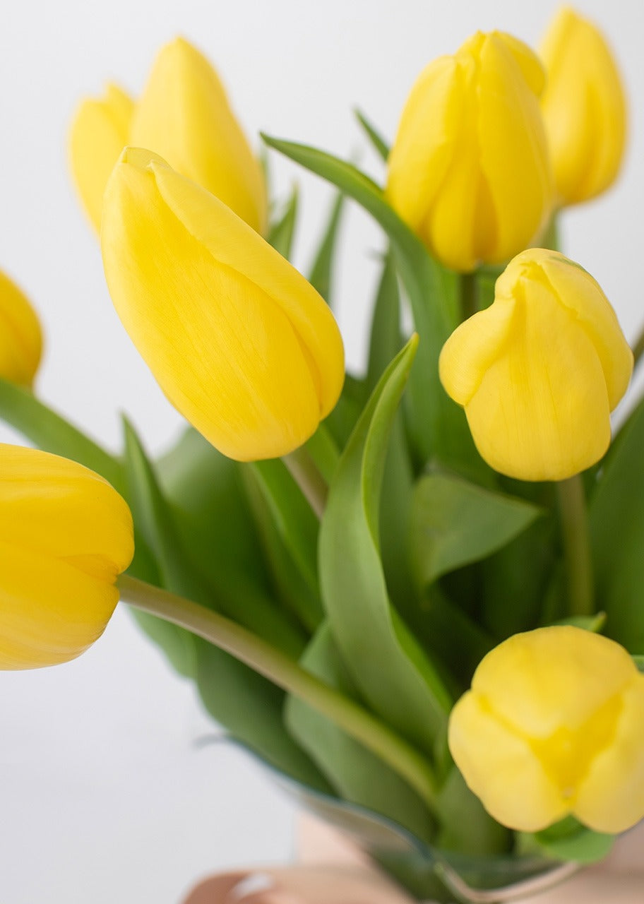 15 tulipanes amarillos en jarrón