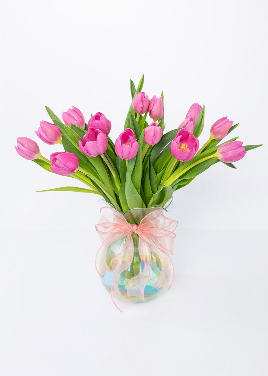 15 tulipanes fucsia en jarrón