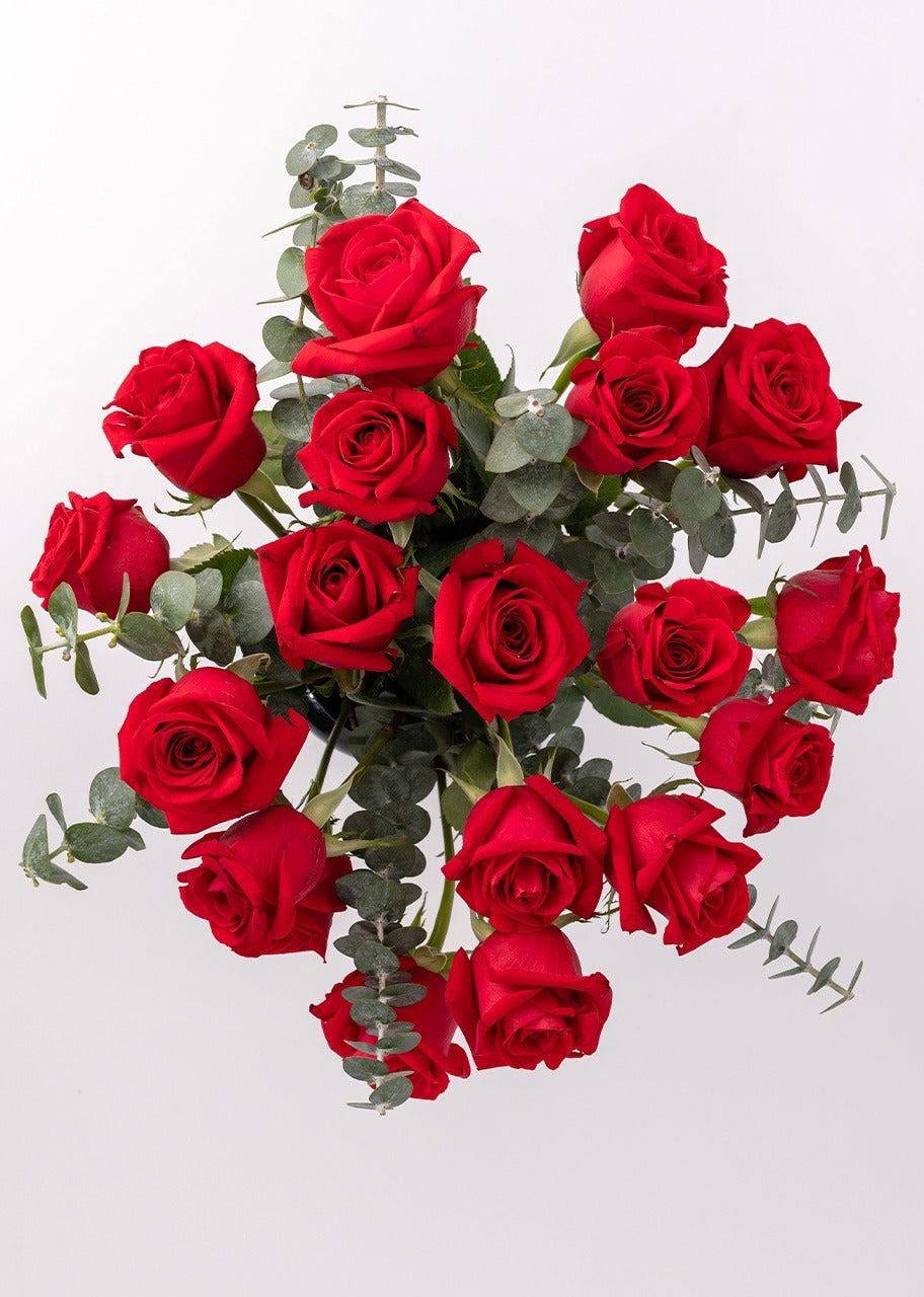 18 rosas rojas en jarrón