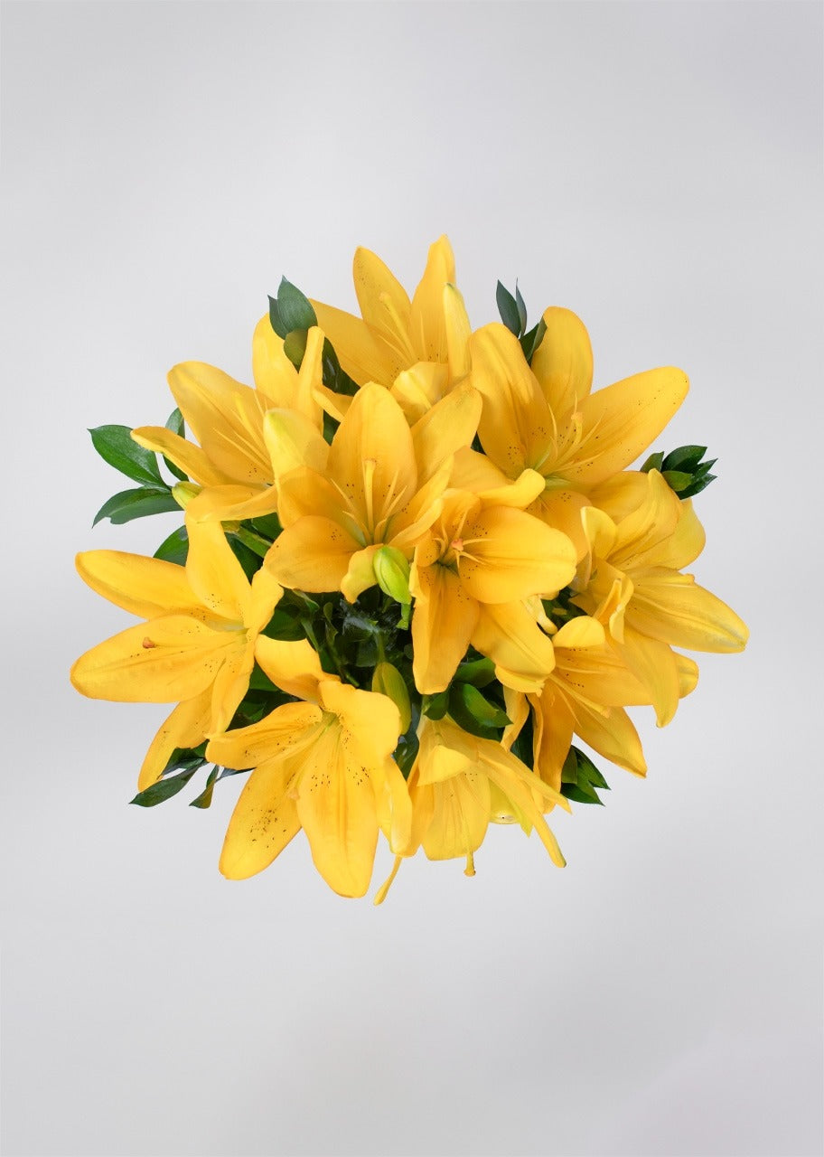 Ramo de 10 lilys amarillas