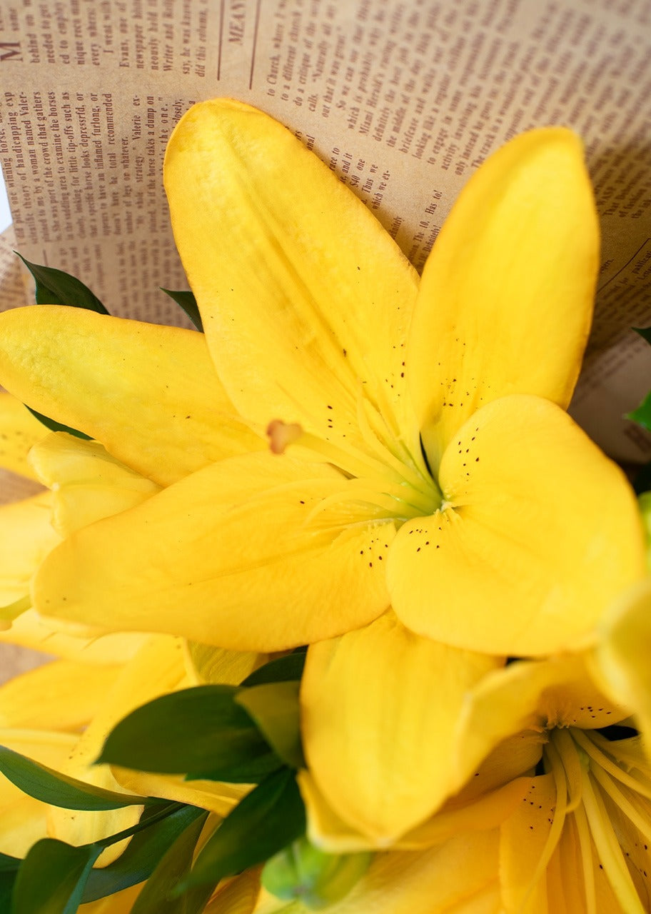 Ramo de 10 lilys amarillas