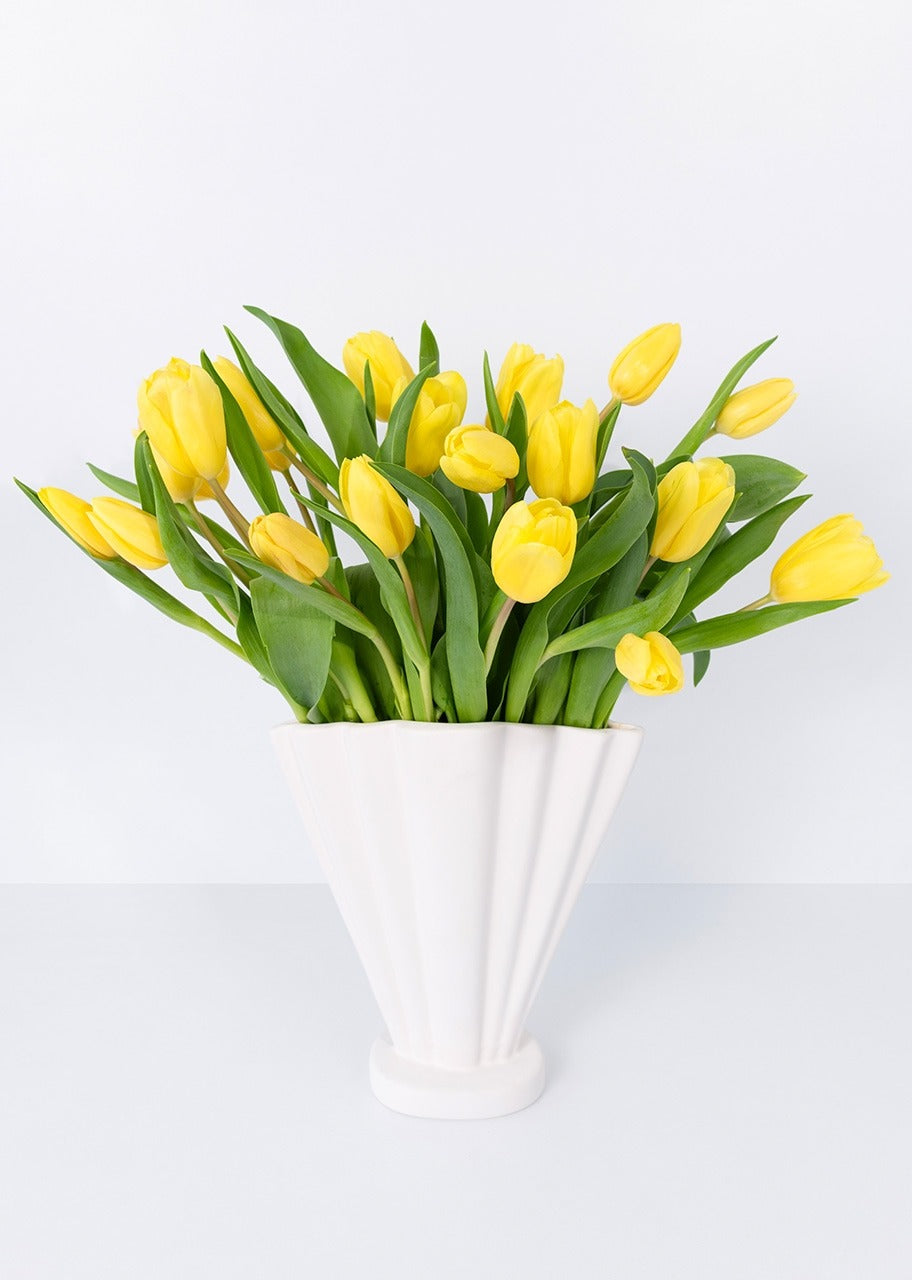 20 tulipanes amarillos en jarrón