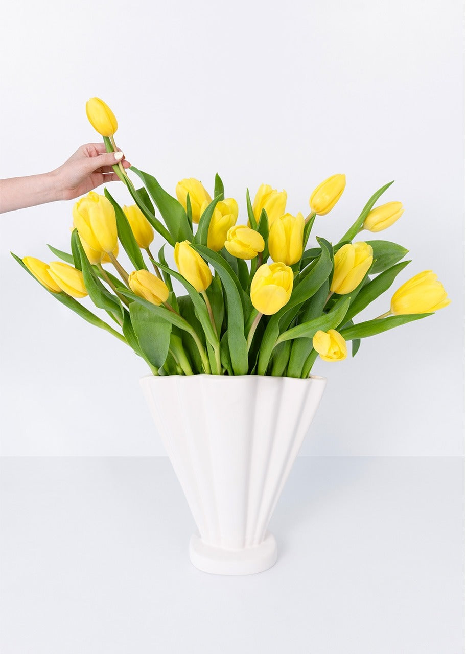 20 tulipanes amarillos en jarrón