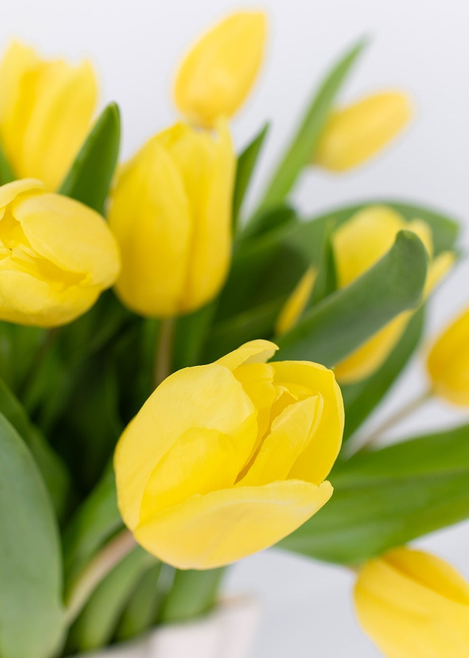 20 tulipanes amarillos en jarrón