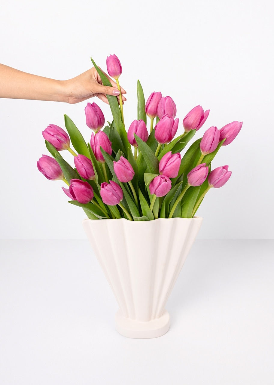 20 tulipanes fucsia en jarrón