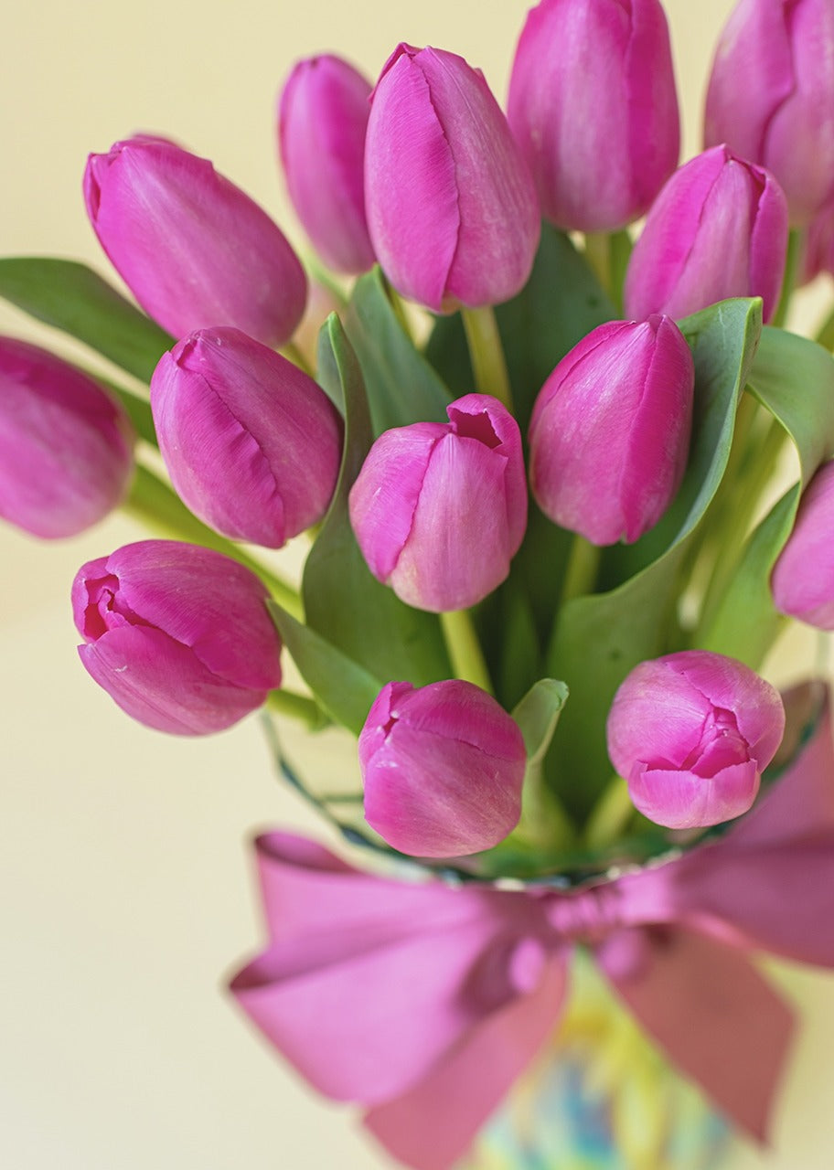 20 tulipanes fucsia en jarrón