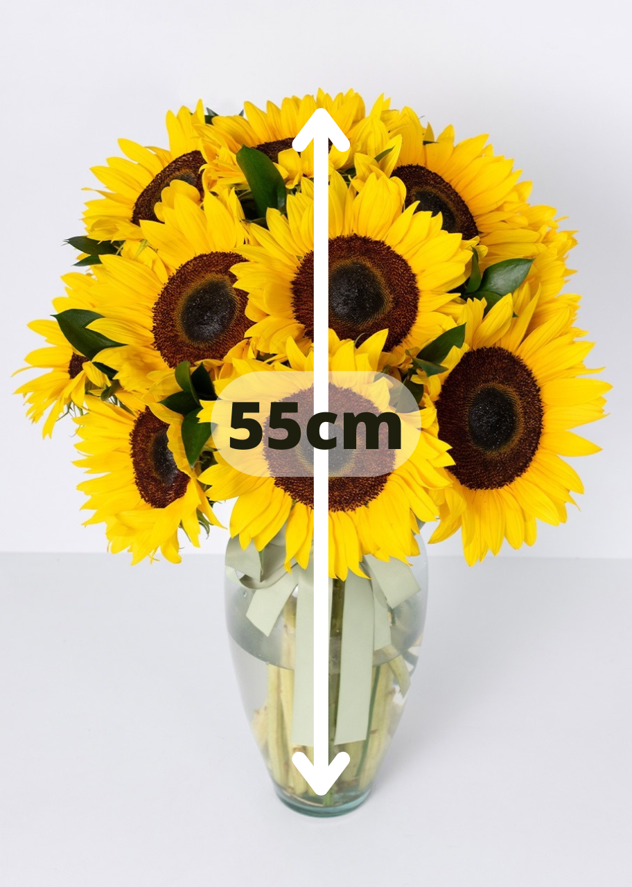 15 girasoles en jarrón