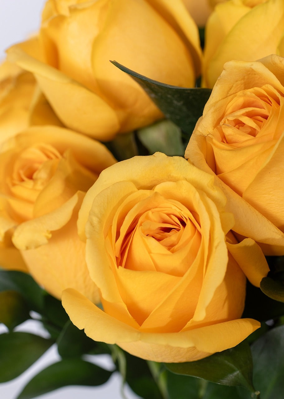 24 rosas amarillas en jarrón