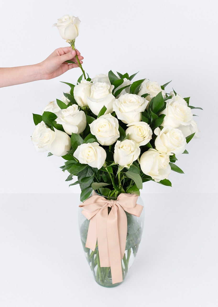 24 rosas blancas en jarrón