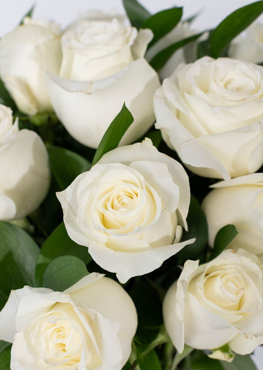 24 rosas blancas en jarrón