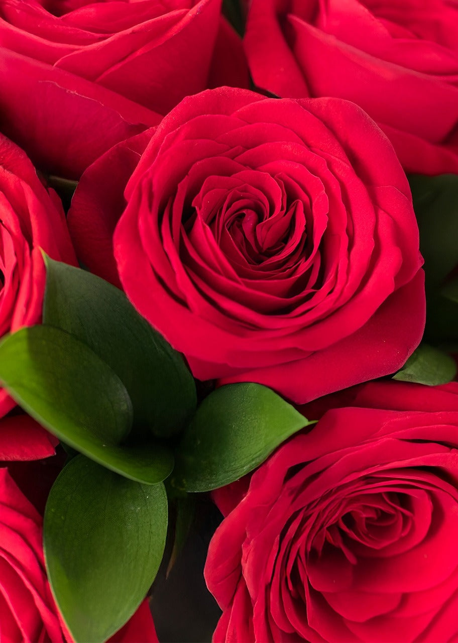 100 rosas rojas en jarrón