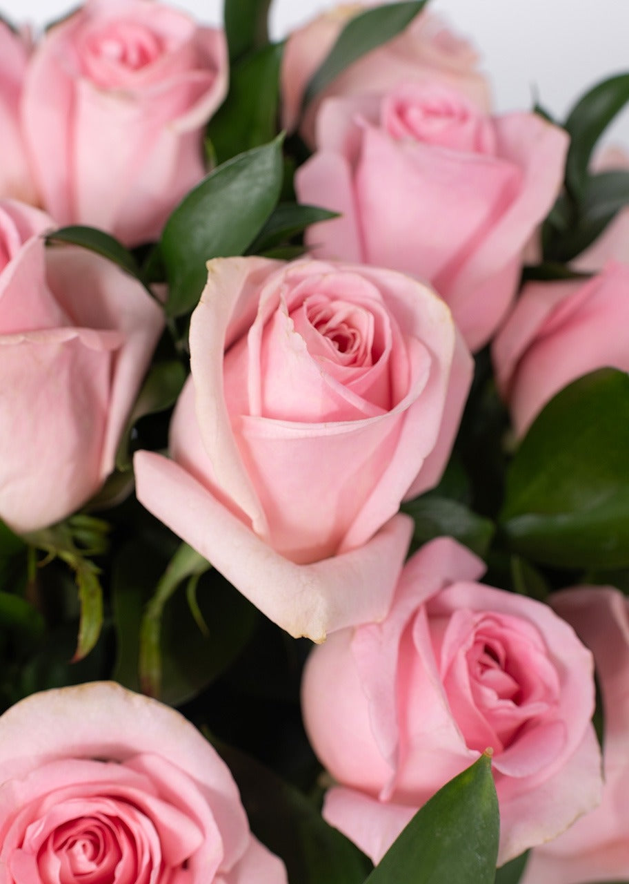 24 rosas rosas en jarrón