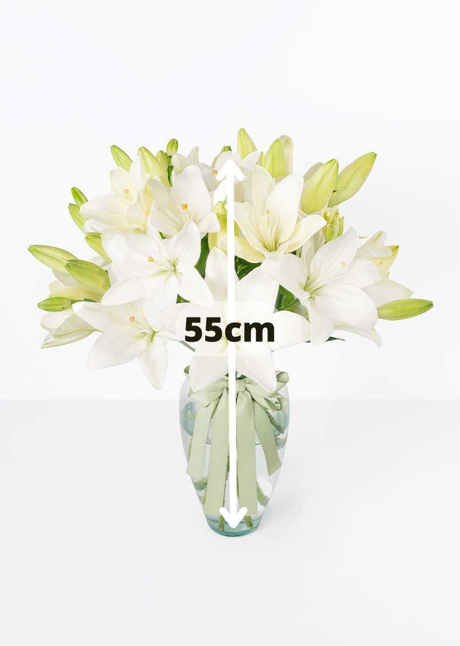 15 lilys blancas en jarrón