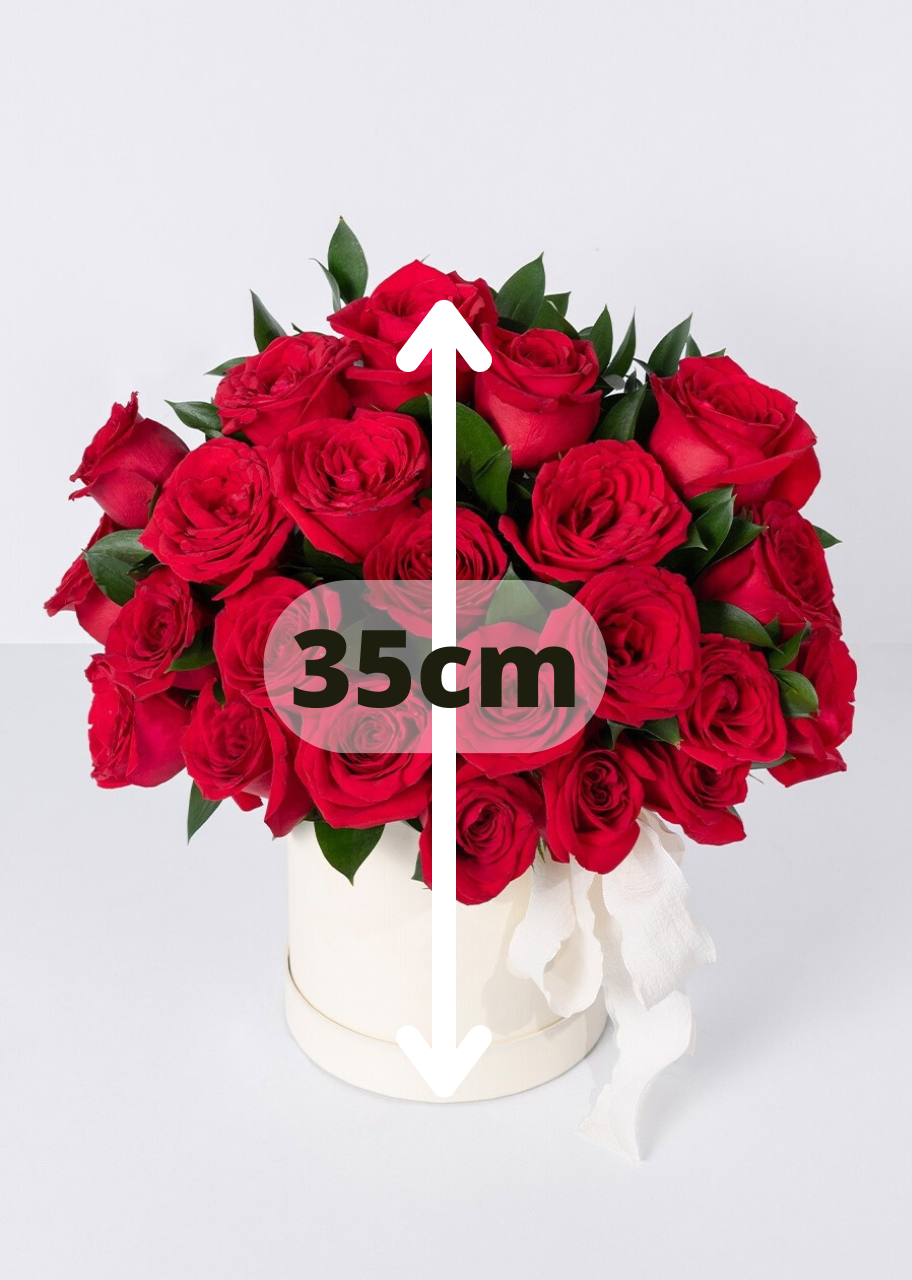 Caja con 24 rosas rojas