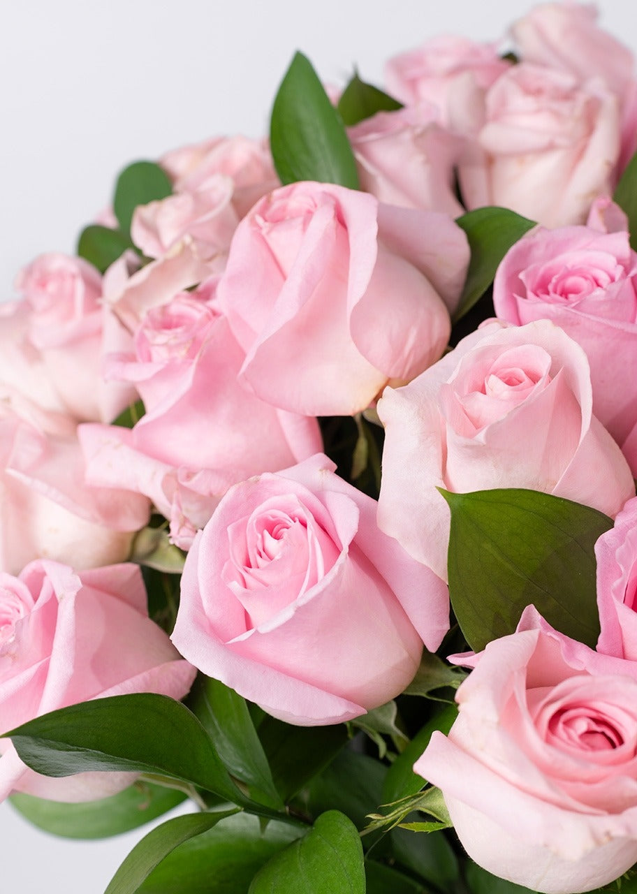 50 rosas rosas jarrón