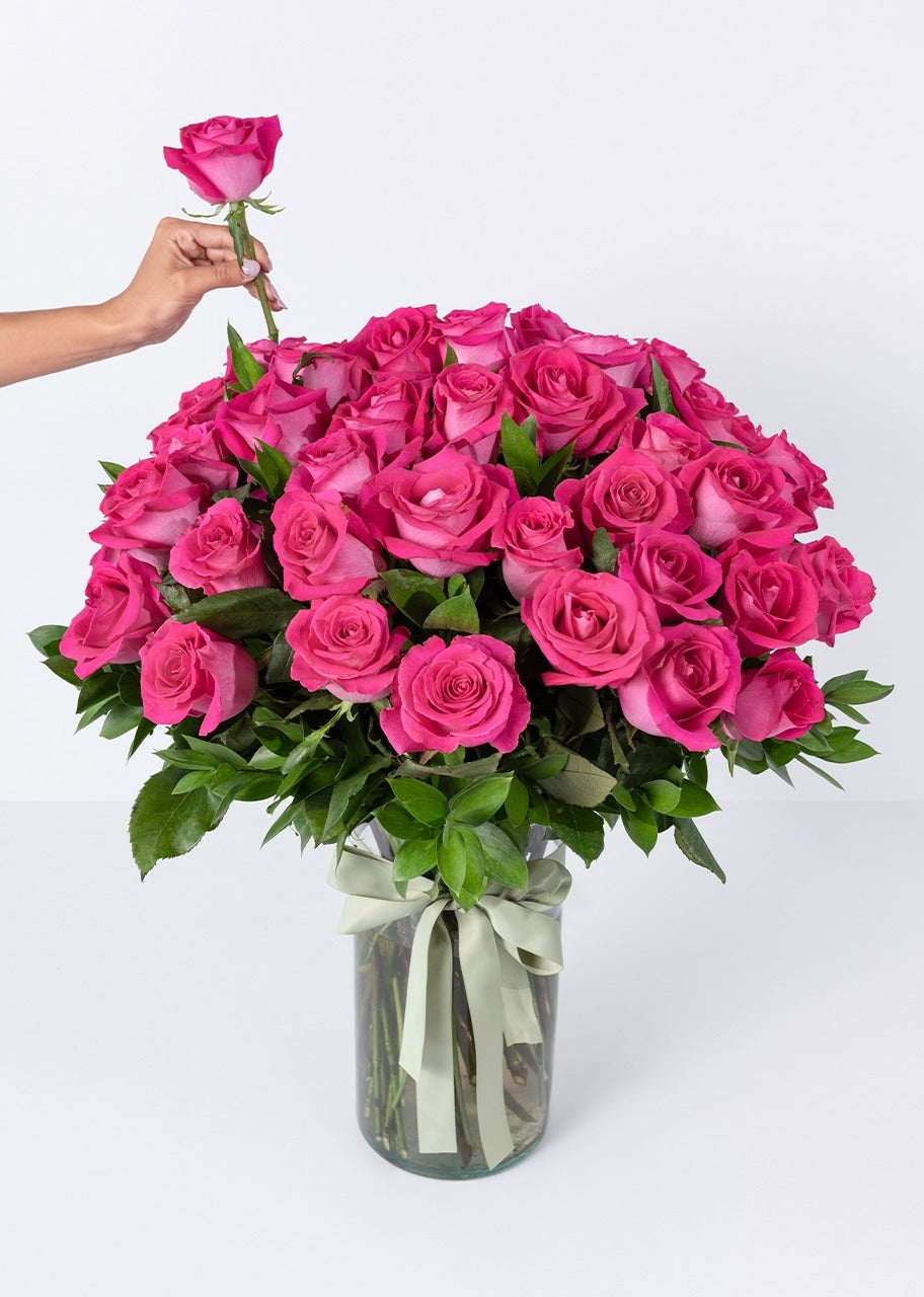 50 rosas fucsia en jarrón