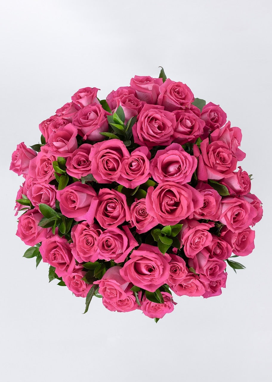 50 rosas fucsia en jarrón