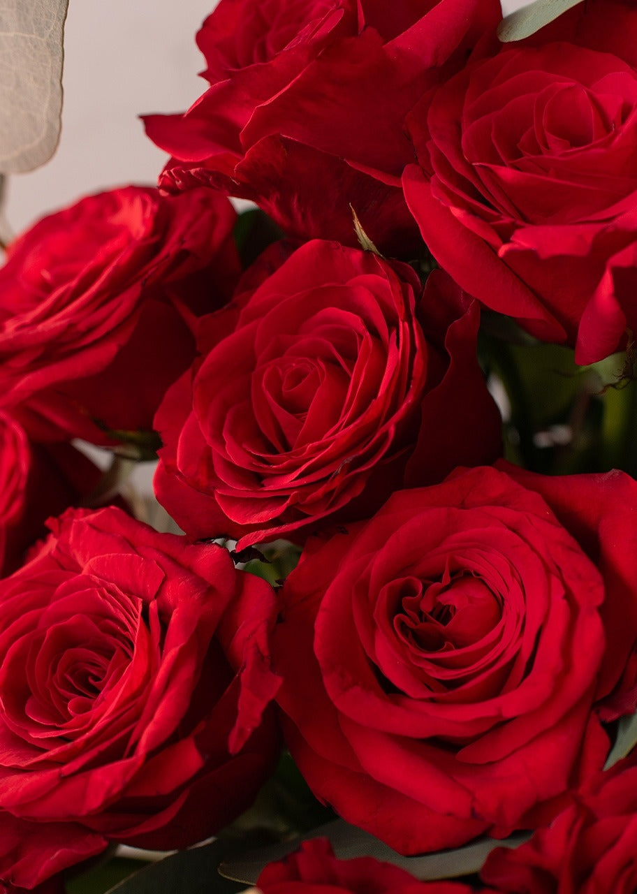 Caja con 50 rosas rojas