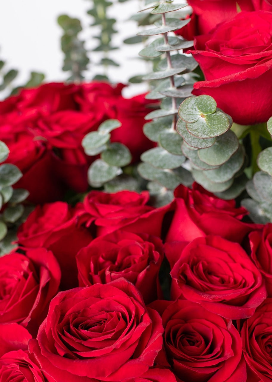50 rosas rojas en jarrón negro