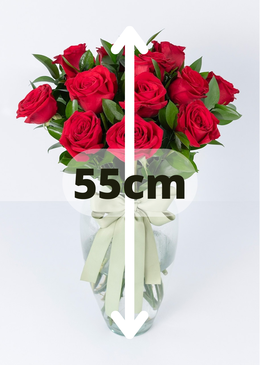 12 rosas rojas en jarrón