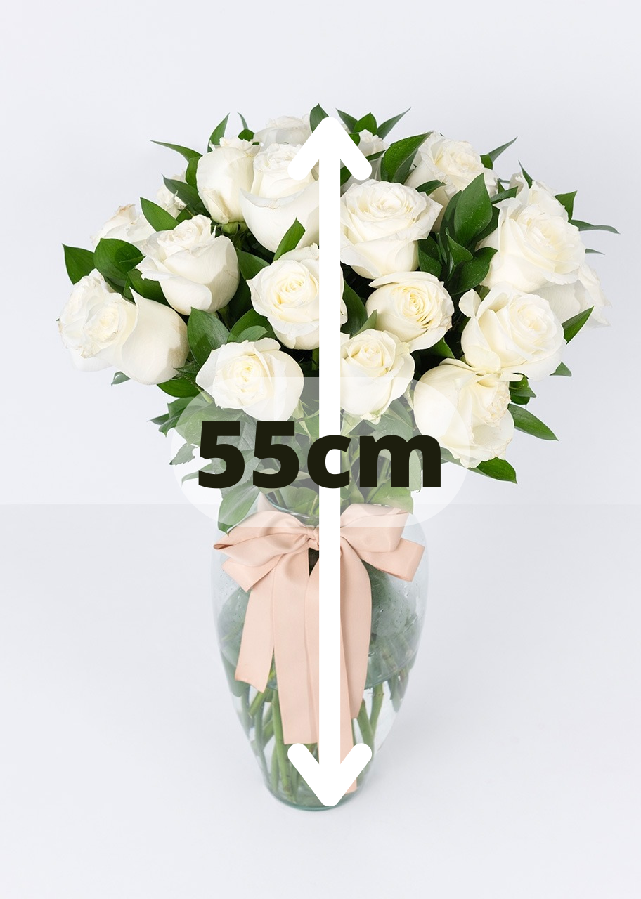 24 rosas blancas en jarrón