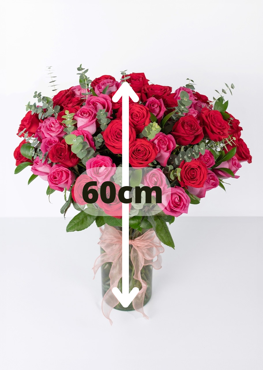 50 rosas rojas y fucsia en jarrón
