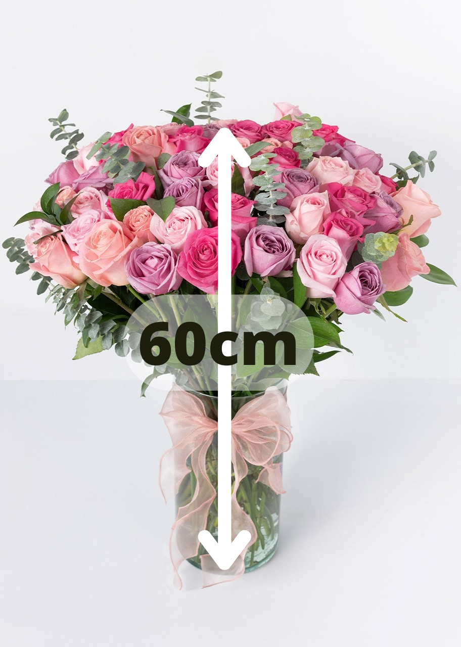 50 rosas rosas y lila en jarrón