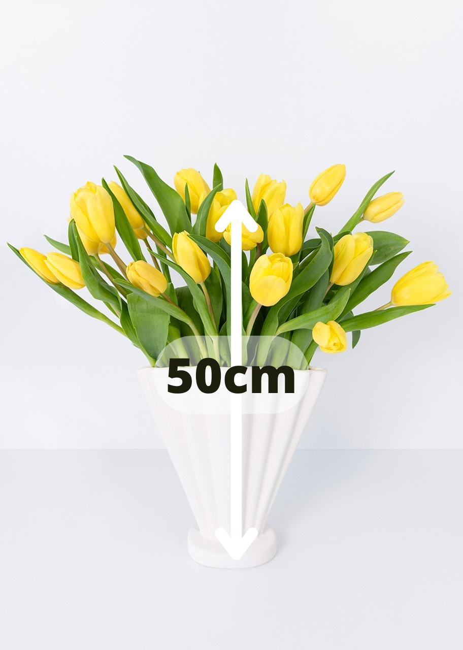 20 tulipanes amarillos en jarrón