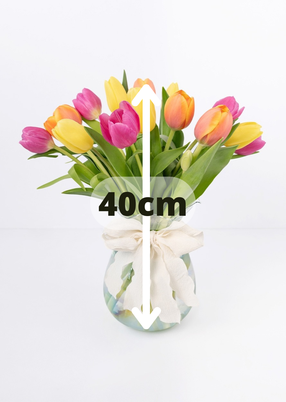 15 tulipanes coloridos en jarrón
