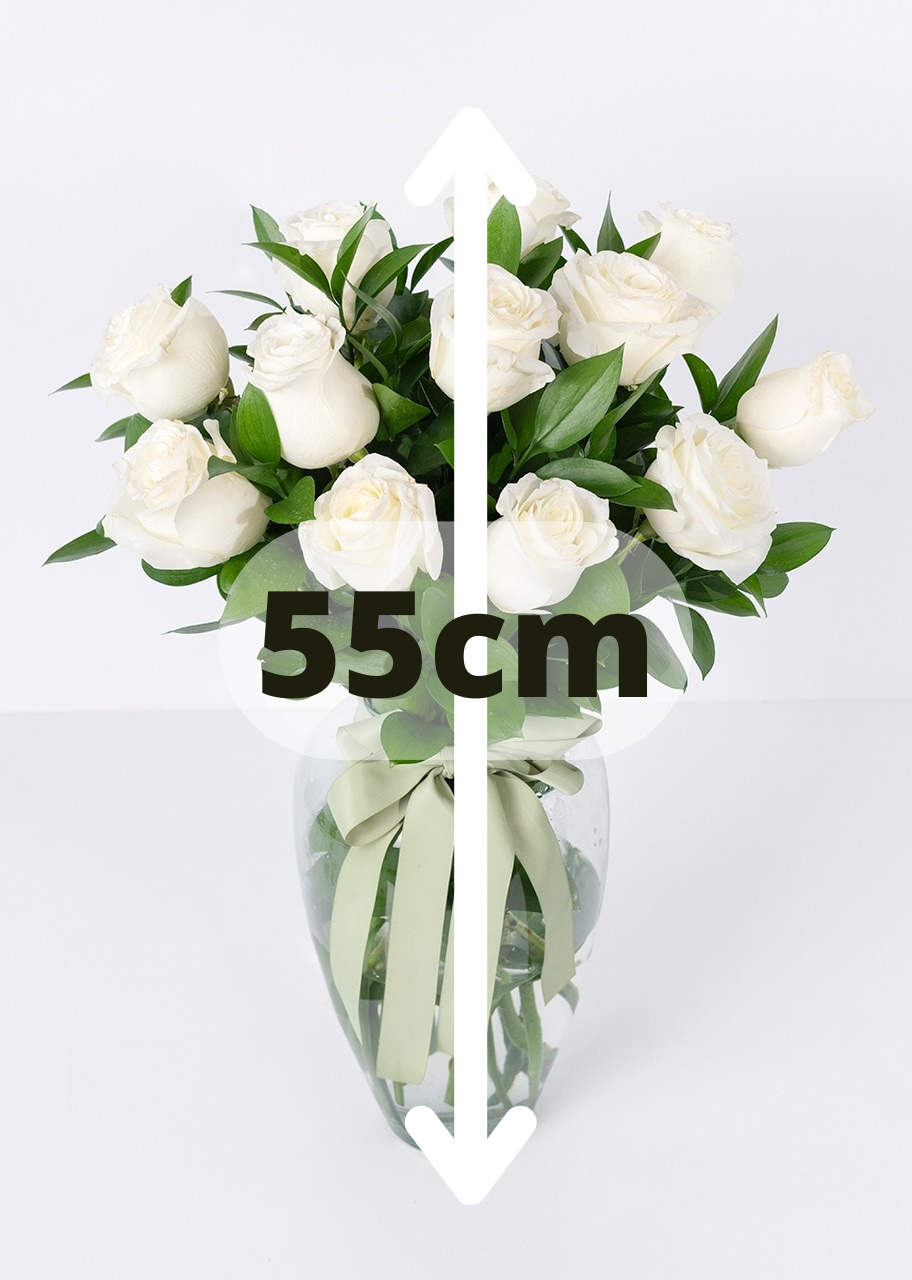 12 rosas blancas en jarrón