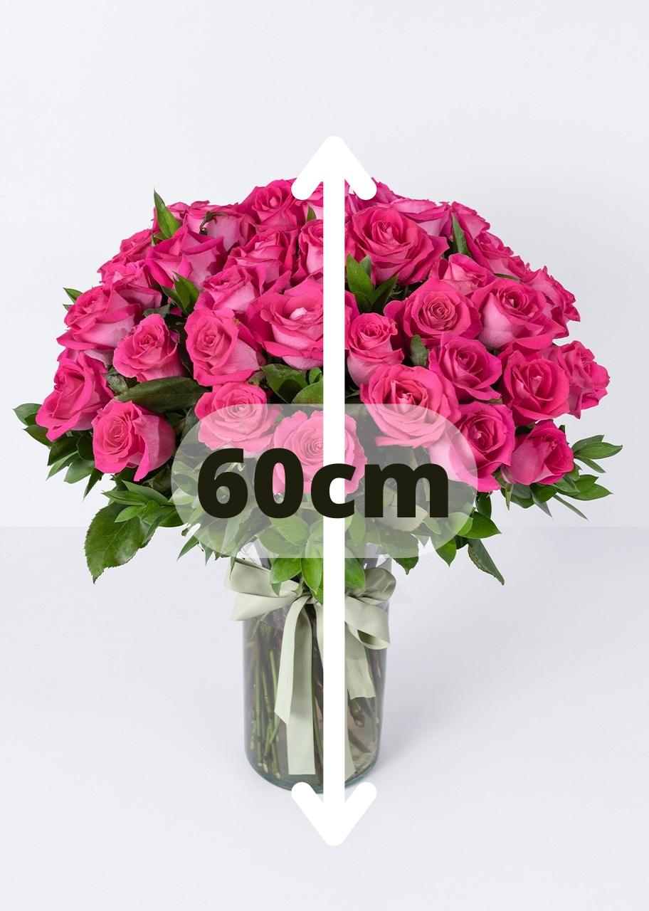 50 rosas fucsia en jarrón