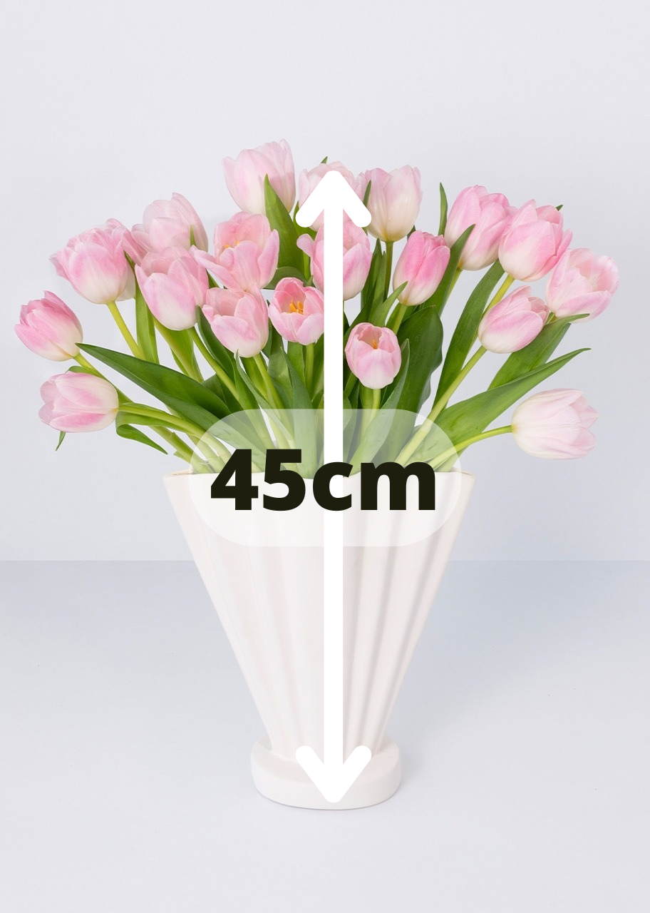 20 tulipanes rosas en jarrón
