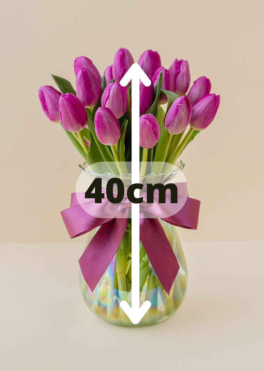 20 tulipanes fucsia en jarrón