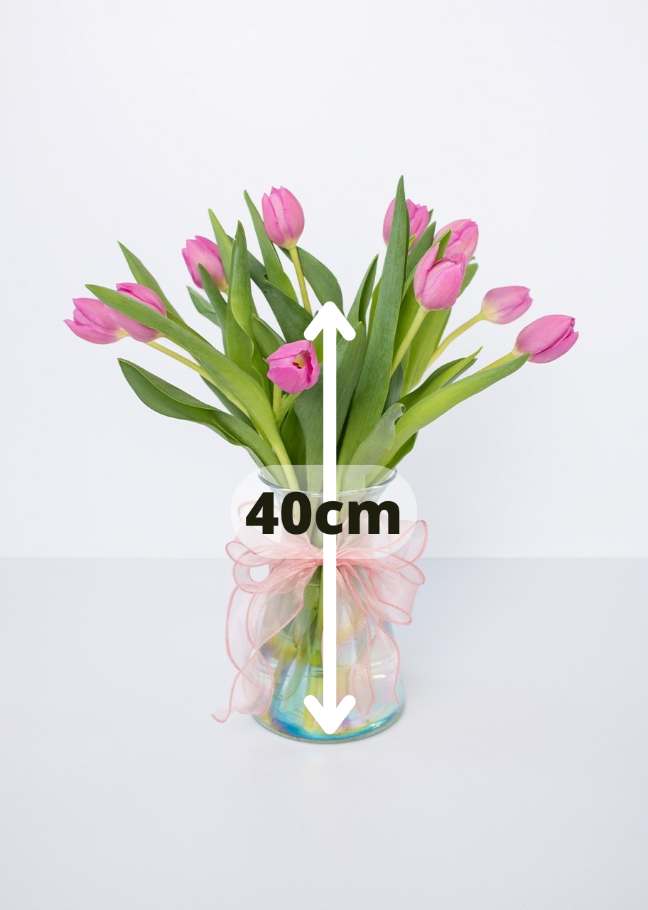 10 tulipanes fucsia en jarrón