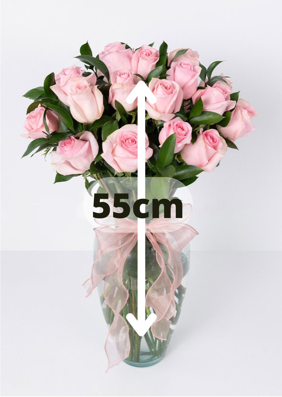 24 rosas rosas en jarrón