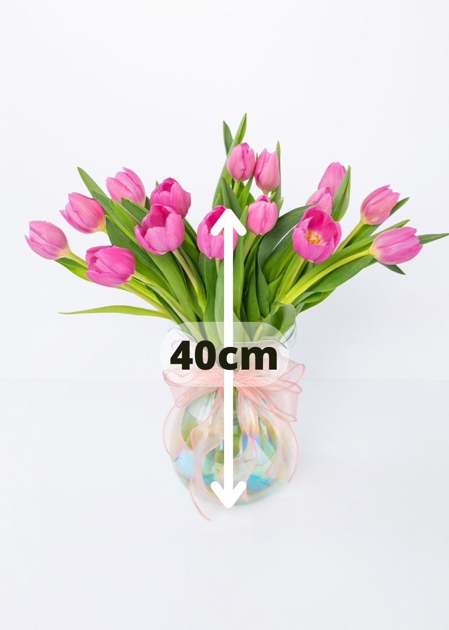 15 tulipanes fucsia en jarrón