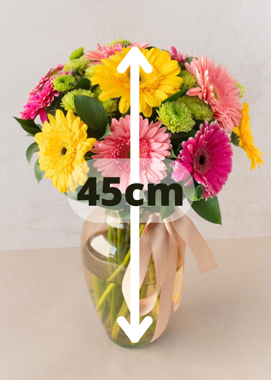 12 gerberas coloridas en jarrón