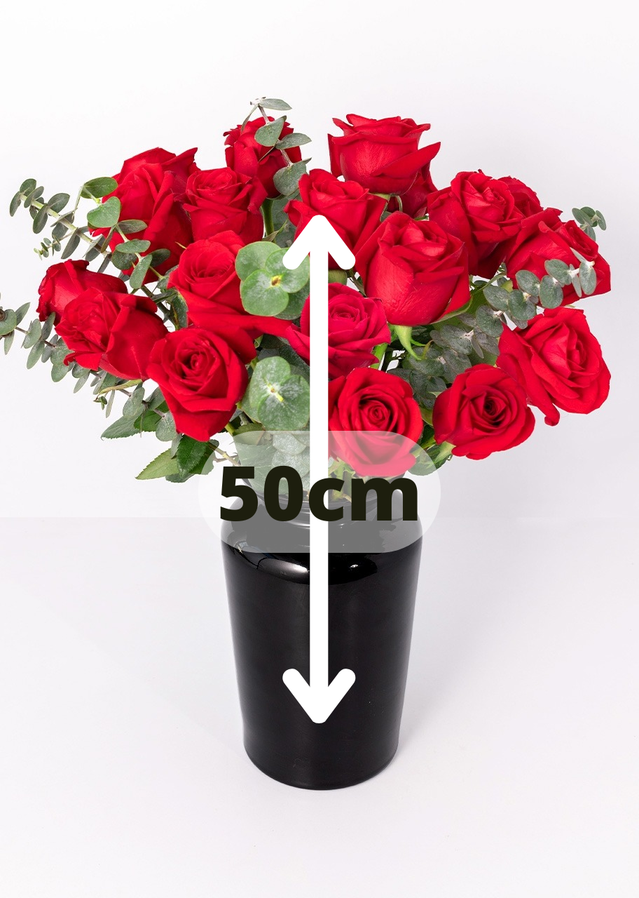18 rosas rojas en jarrón