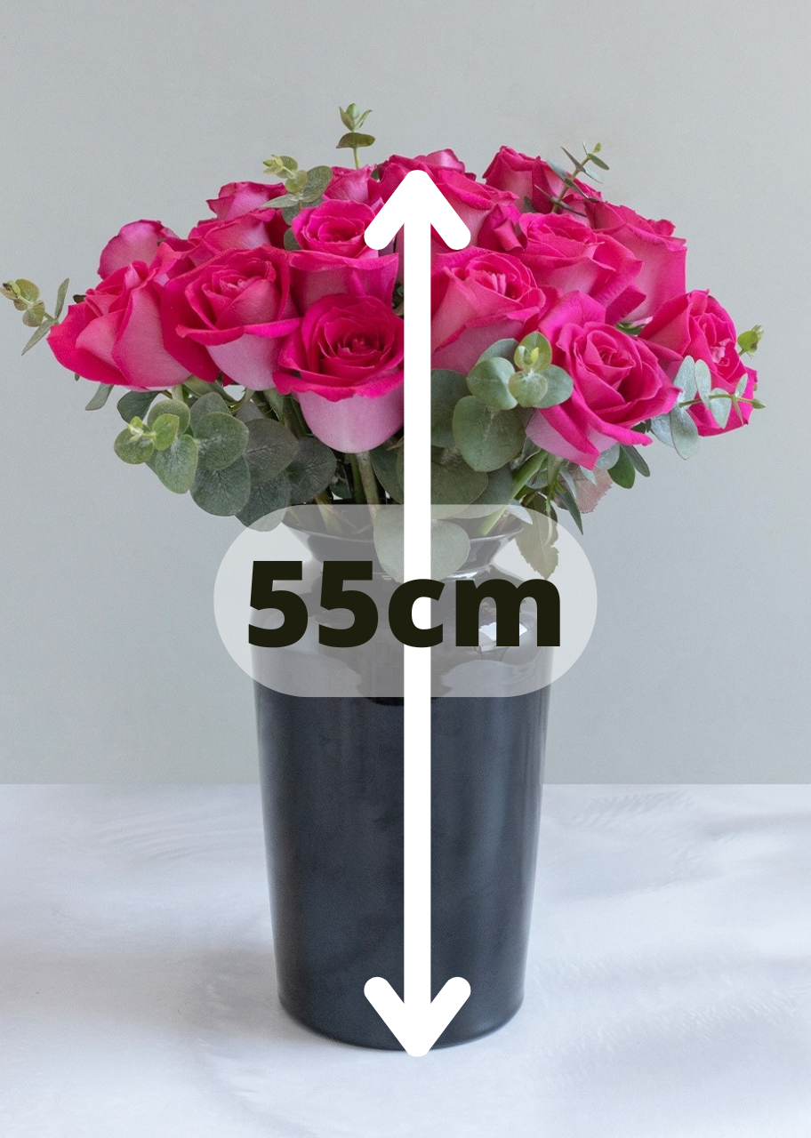 18 rosas fucsia en jarrón