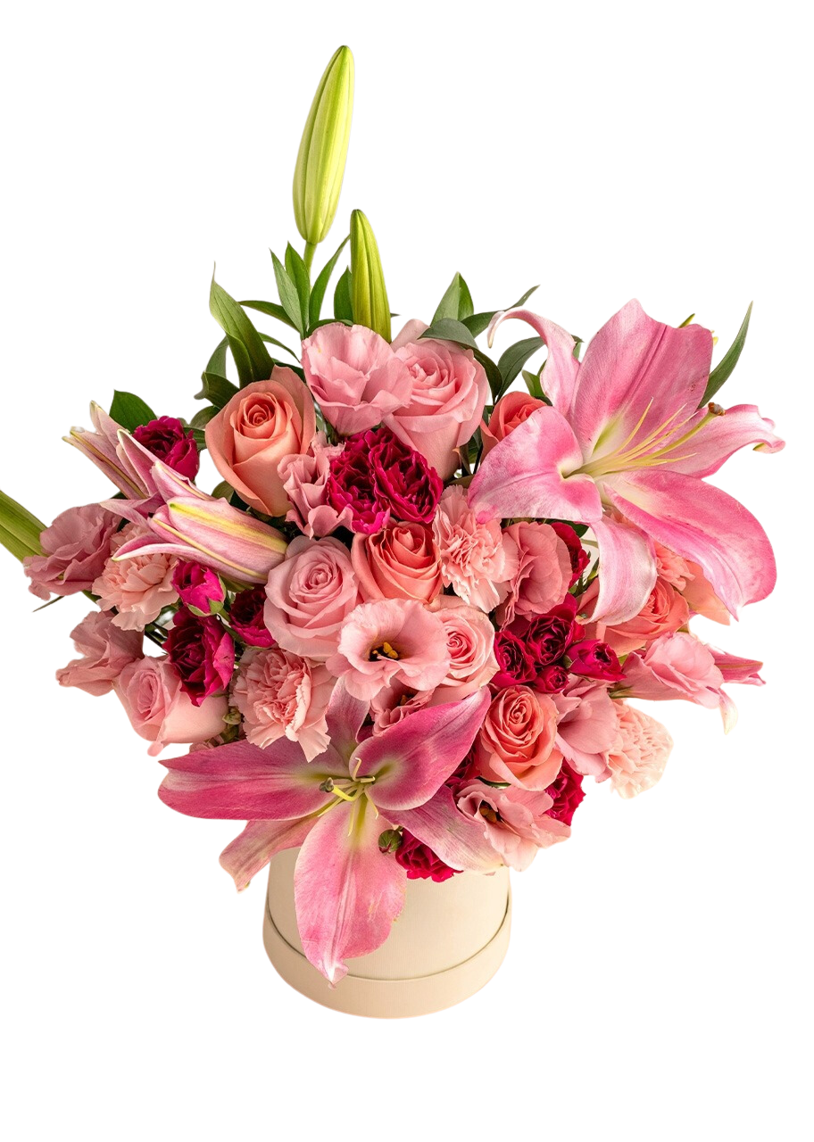 Caja con rosas y stargazers