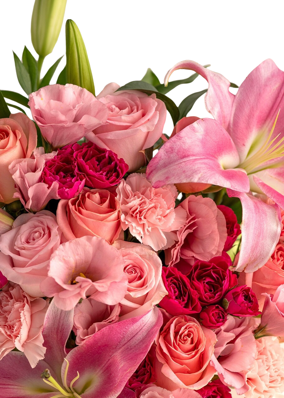 Caja con rosas y stargazers