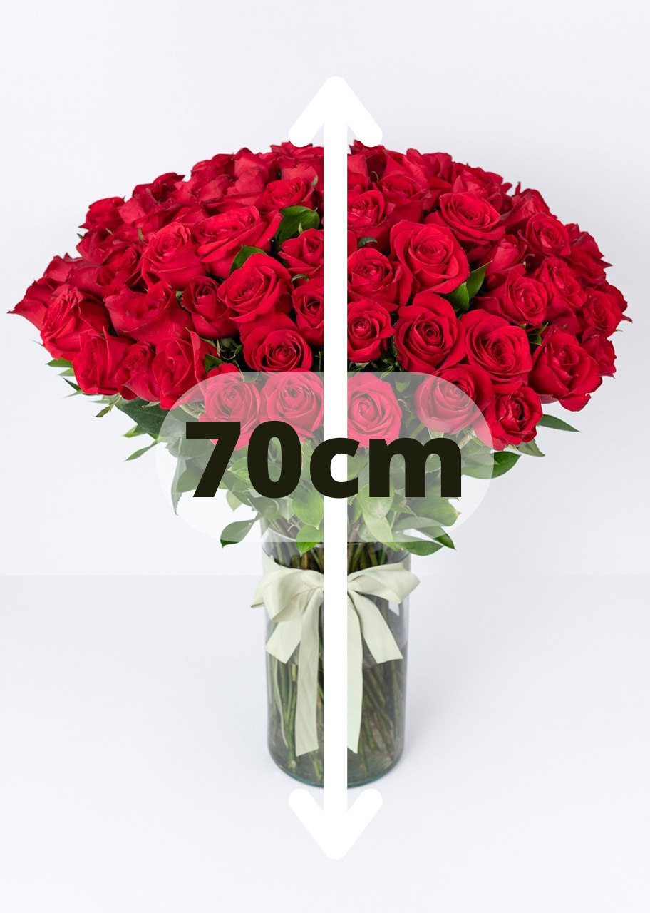 100 rosas rojas en jarrón