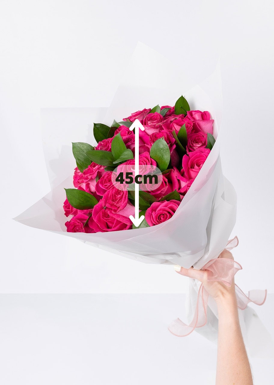 Ramo de 24 rosas fucsia