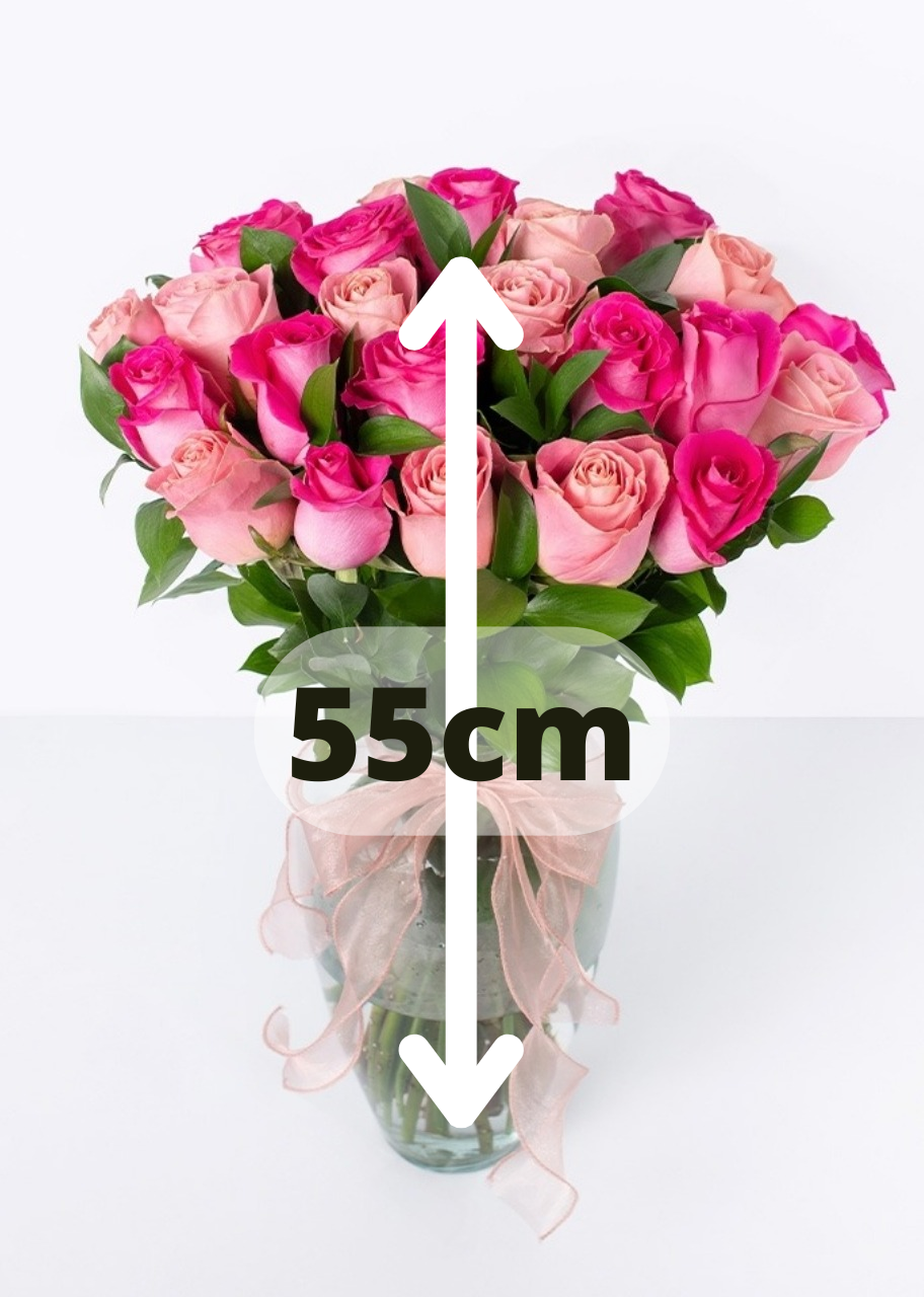 24 rosas rosas y hermosas en jarrón