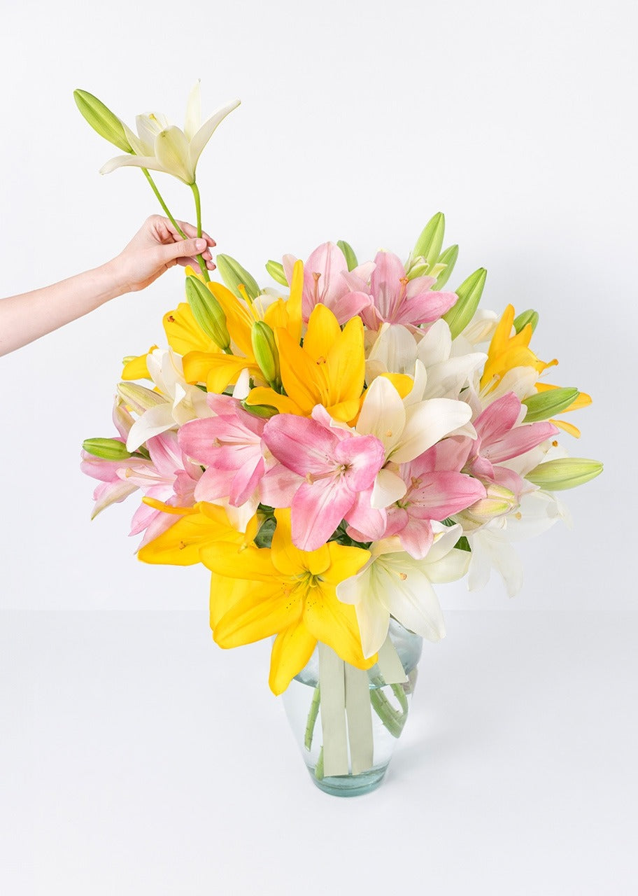 15 lilys coloridas en jarrón